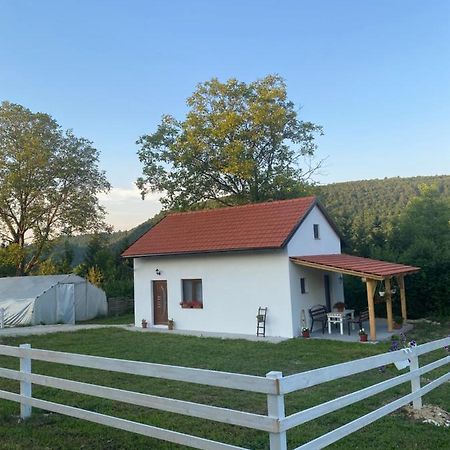 Hill House Emir Villa Bihać Kültér fotó