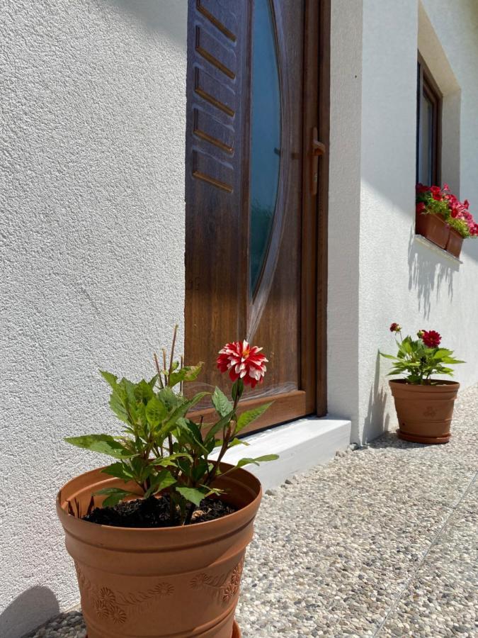 Hill House Emir Villa Bihać Kültér fotó